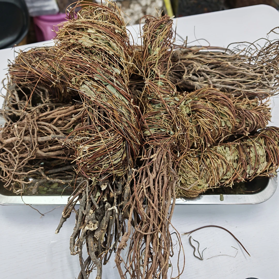 鸡骨草 野 煲汤煲水  煲麦冬水