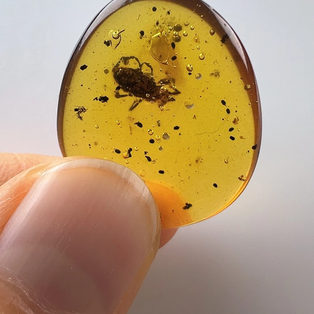琥珀裸石未镶嵌琥珀虫珀