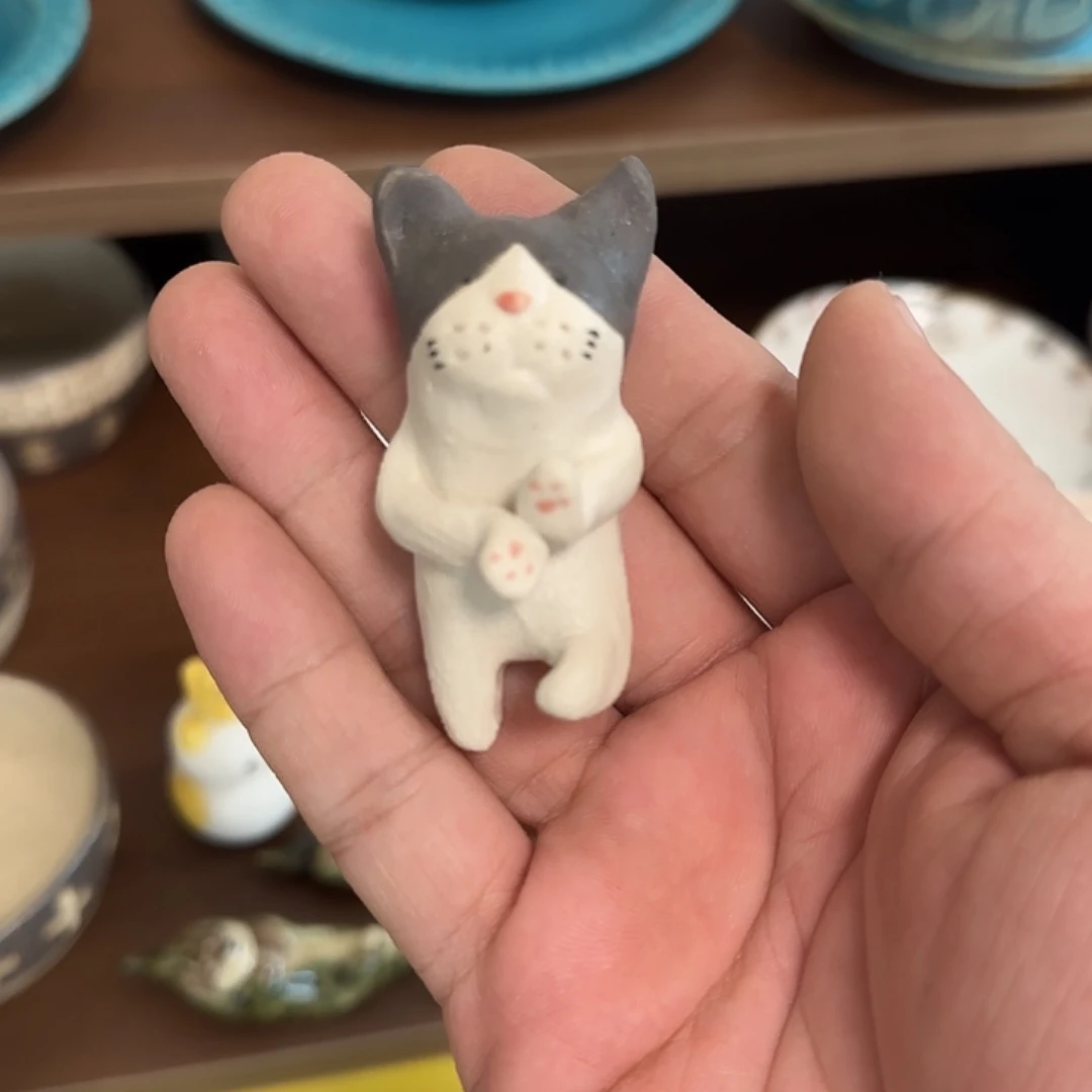 茶盏哈哈哈哈哈哈哈