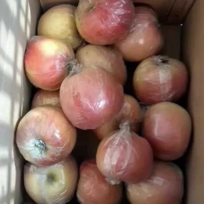 正宗徐州大沙河苹果