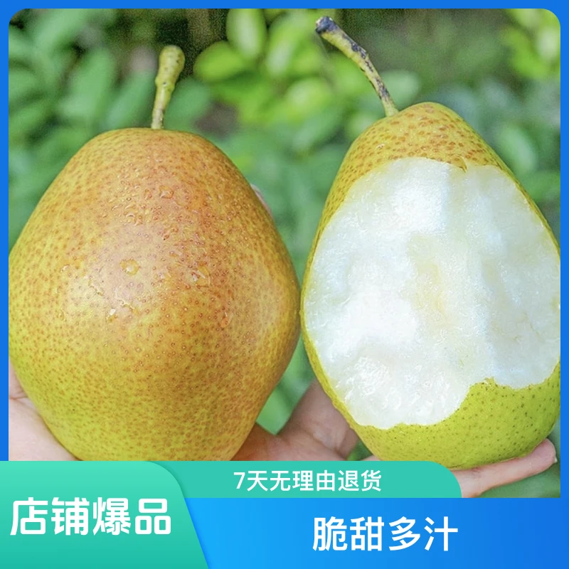 【顺丰包邮】新疆直发库尔勒红香酥梨脆甜多汁