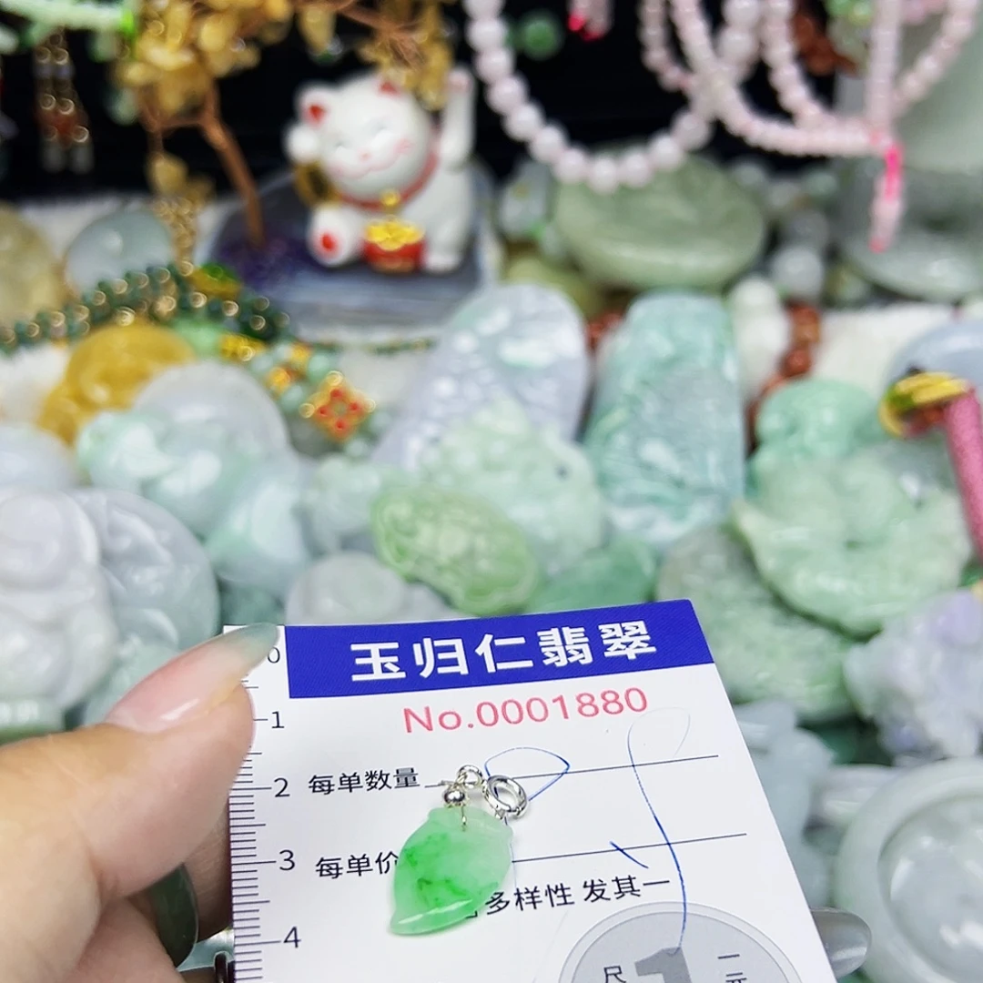 翡翠未镶嵌颈饰211