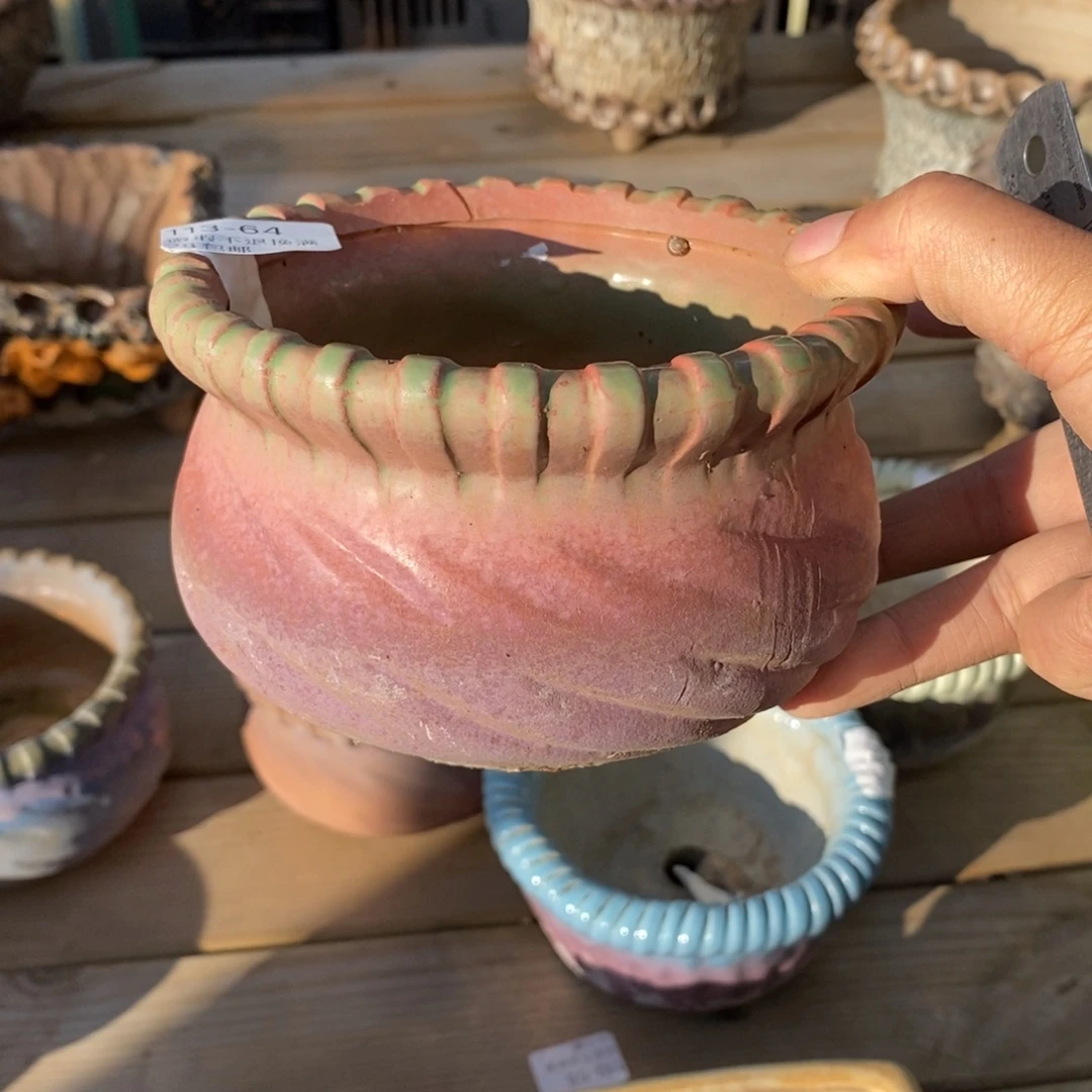 64哈多肉盆口径10