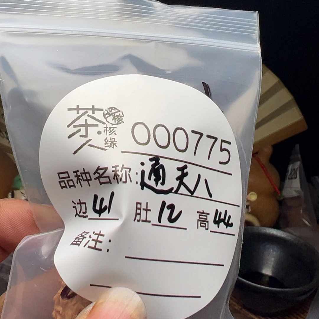 把件文玩核桃今天