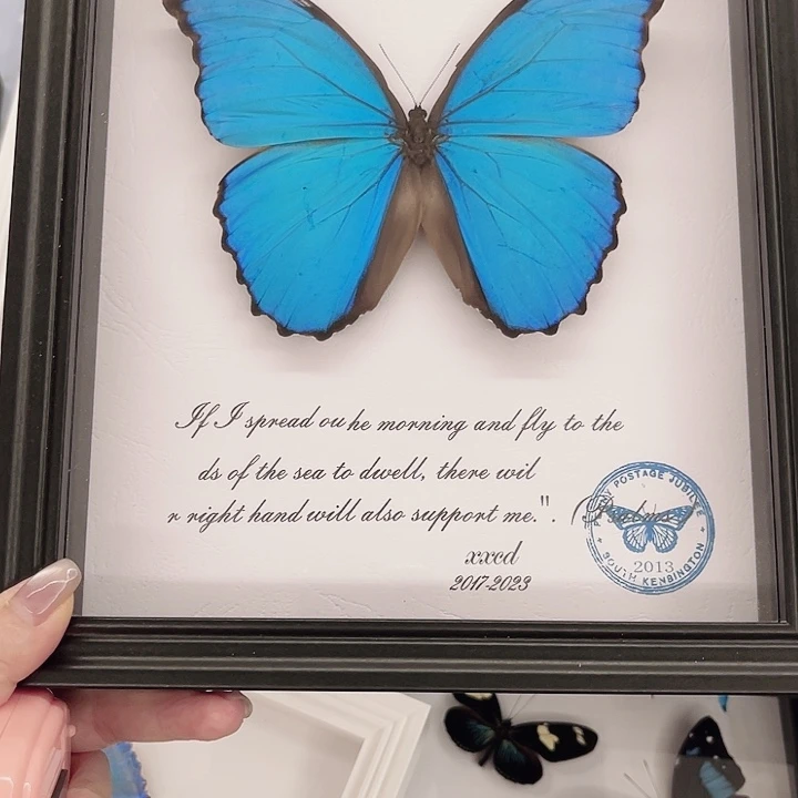 屹***立1号大蓝带框一物一图