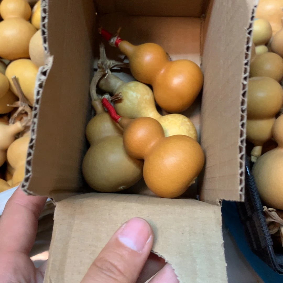 ＋***ggjhfgjjihf那边非公经济呢