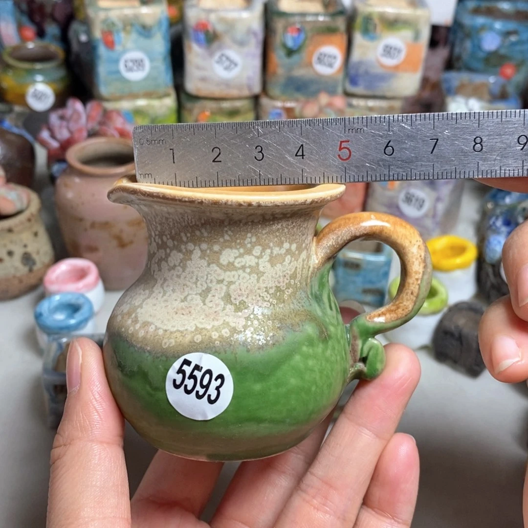 拍5送一个小礼物