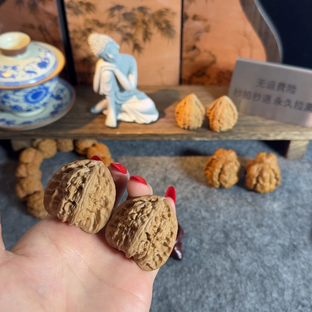 全品40老树白狮子
