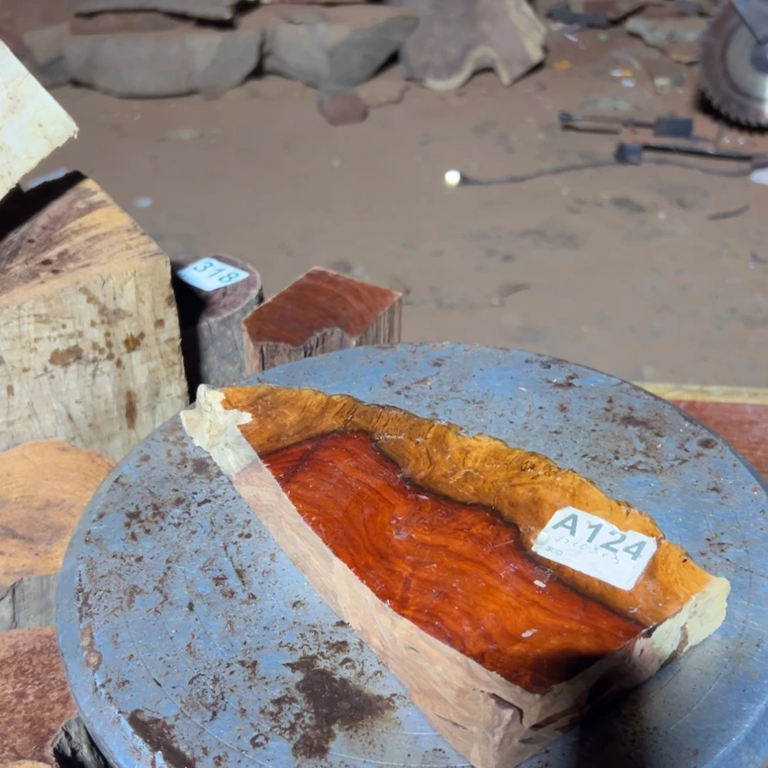 大果紫檀（缅甸花梨）