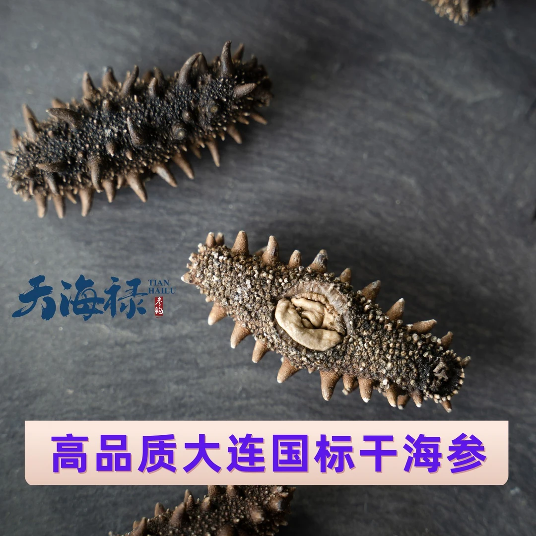 秋参黄皮高品质大连辽参海参滋补高品质滋补品60头左右/斤马义嶋