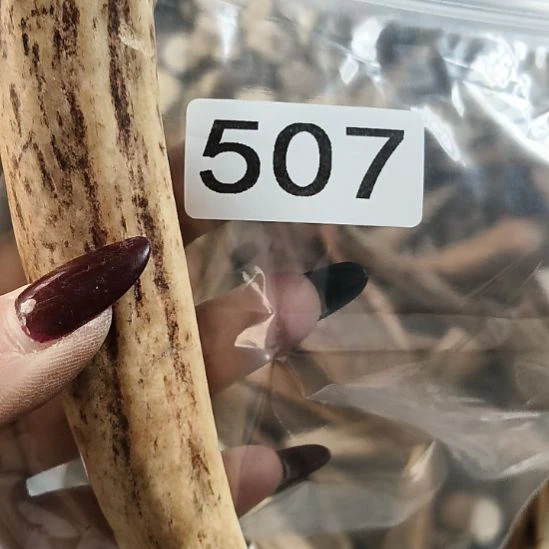 博***览鹿角鹿角鹿角鹿角鹿角鹿角
