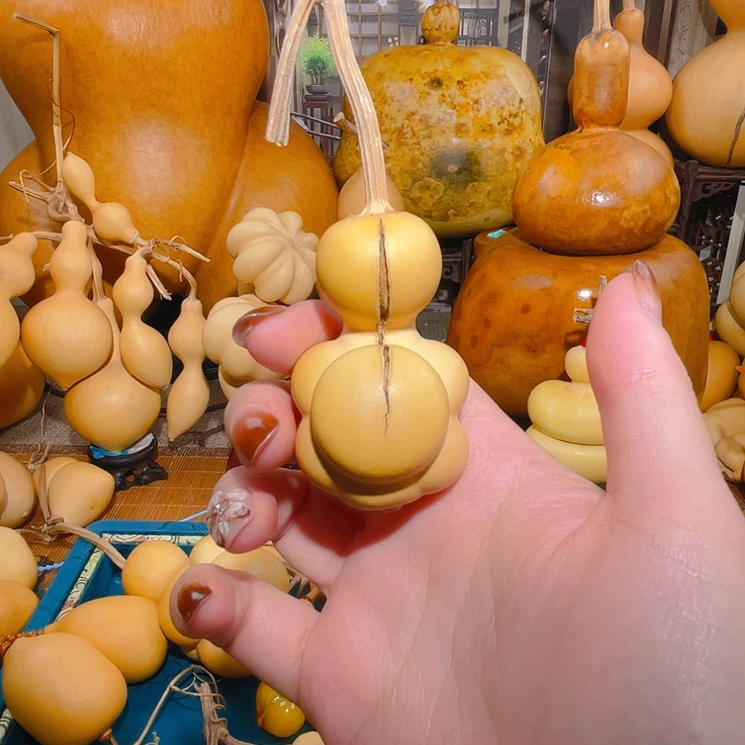 糊**仙葫芦呀呀呀呀呀呀呀呀呀