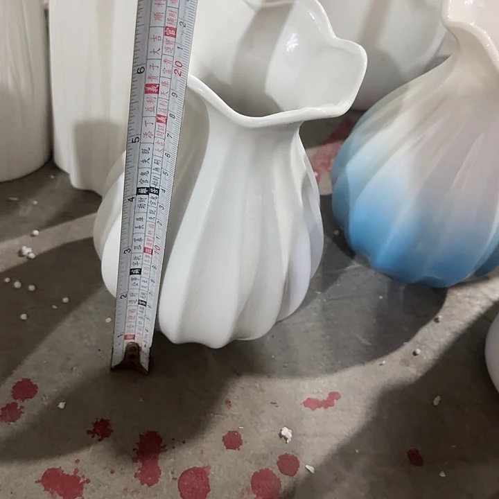 白荷叶一个20厘米