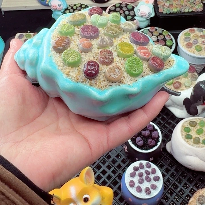 530零下地区记得拍保温箱