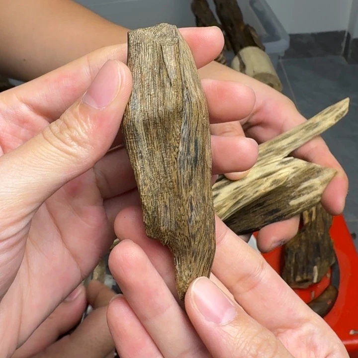 沉香碎屑沉香白棋天然虫漏13克