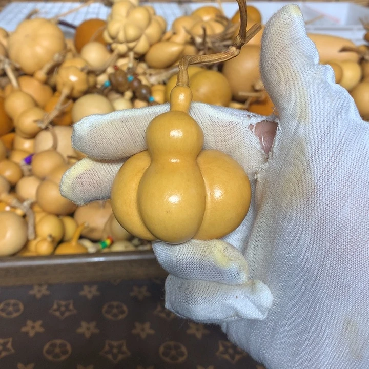 梨等经济林作物中提取和