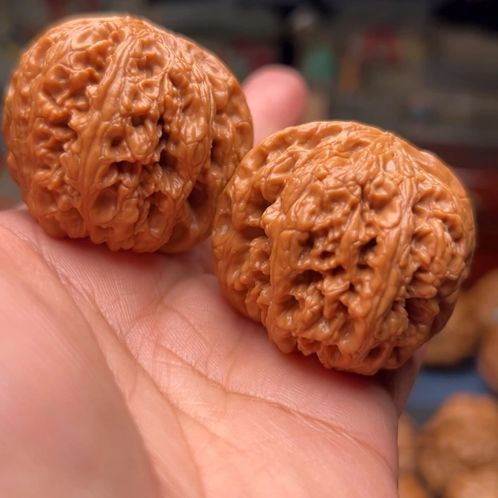 核桃40大粗筋大粗筋