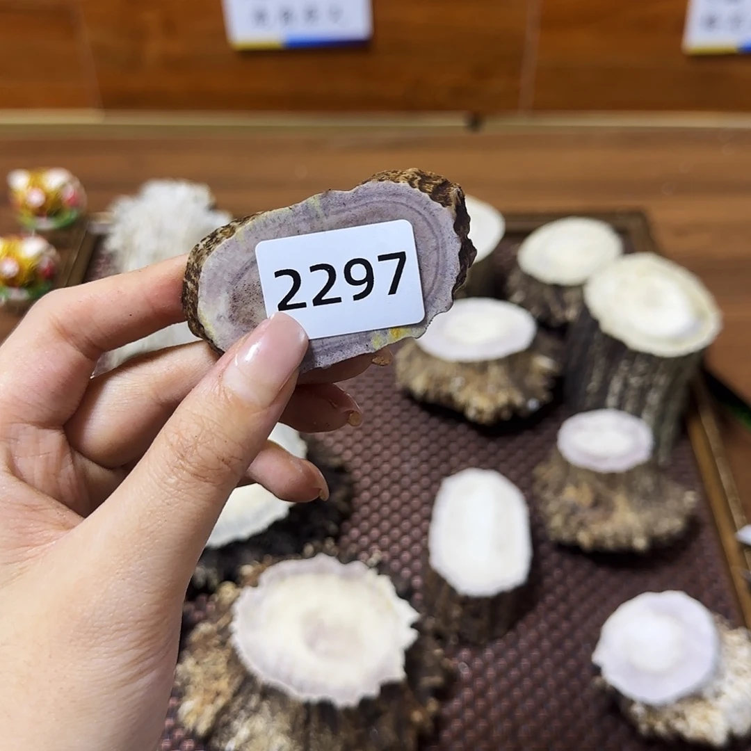 鹿骨手串/手链角片2297