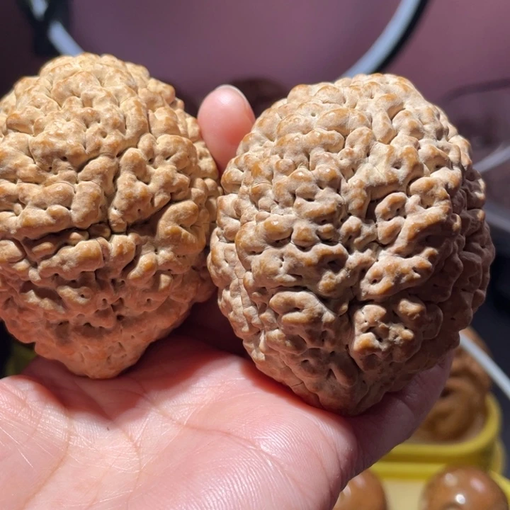 桃核把件爆肉金刚菩提虫眼53