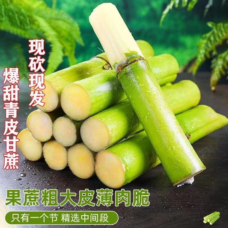 正宗陶山青皮甘蔗中段一果节当季新鲜水果青皮甘蔗整箱脆甜多汁