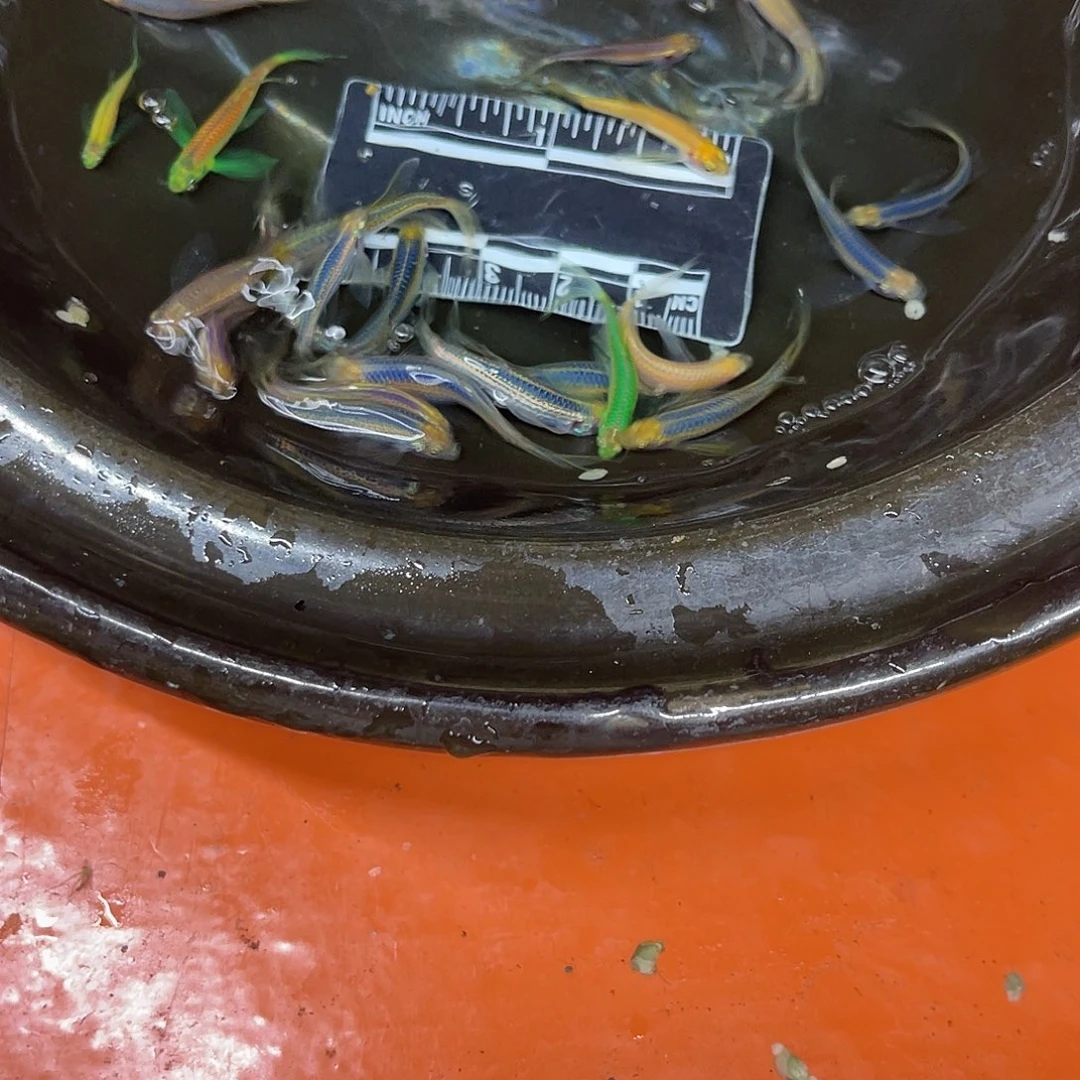 海水16号哈哈哈哈哈哈