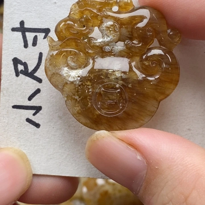 硅化珊瑚（珊瑚玉）未镶嵌颈饰