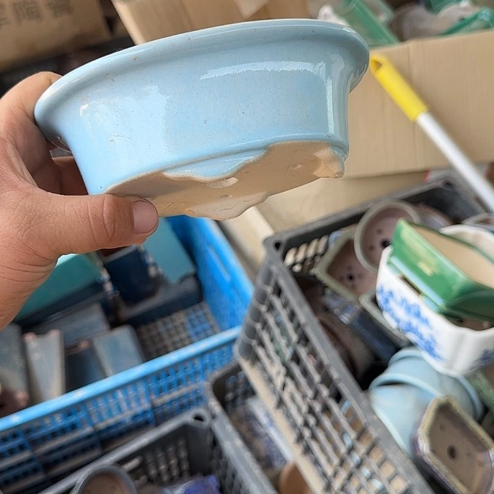 是因为它具有非常丰富且独特魅力