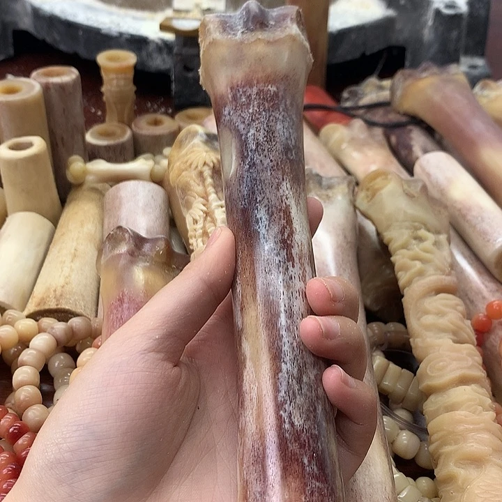 娇*驼骨整根棒骨