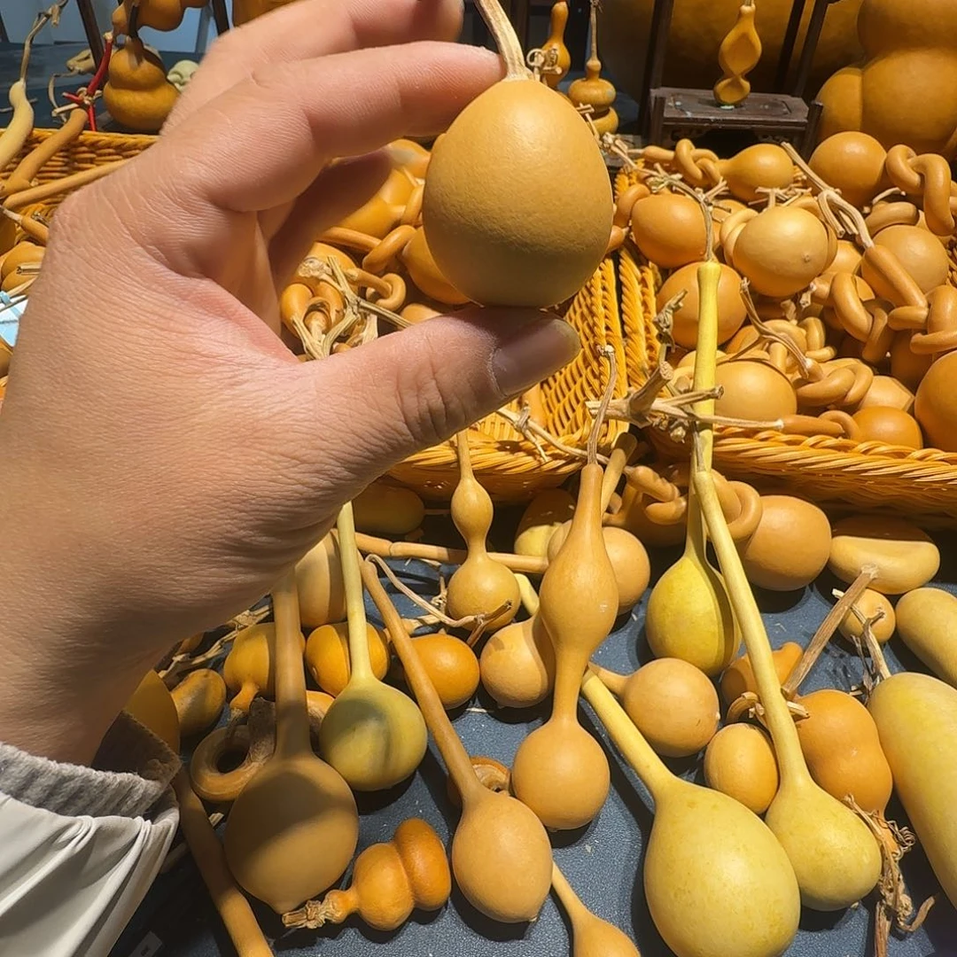 妙***深葫芦的造型非常可爱啊我觉得