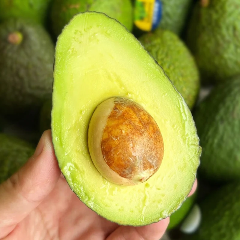 【坏果包赔】现货秘鲁进口哈斯牛油果当季新鲜水果2-10个装辅食鳄梨