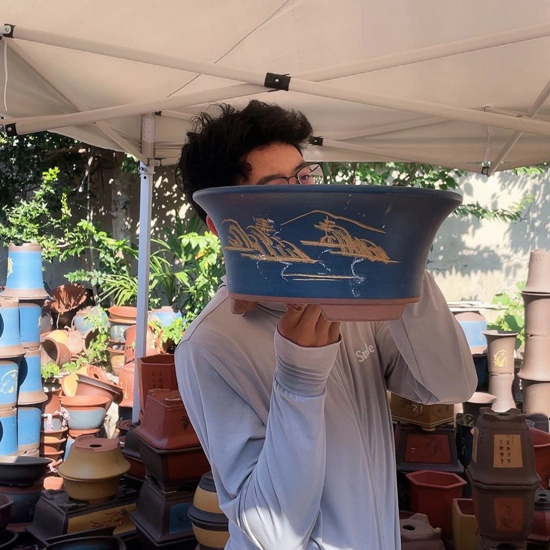 33蓝票口花盆紫砂花盆紫砂