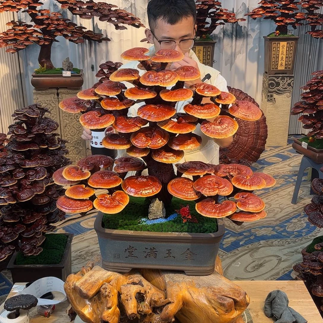 霸***搏无花朵88888888888