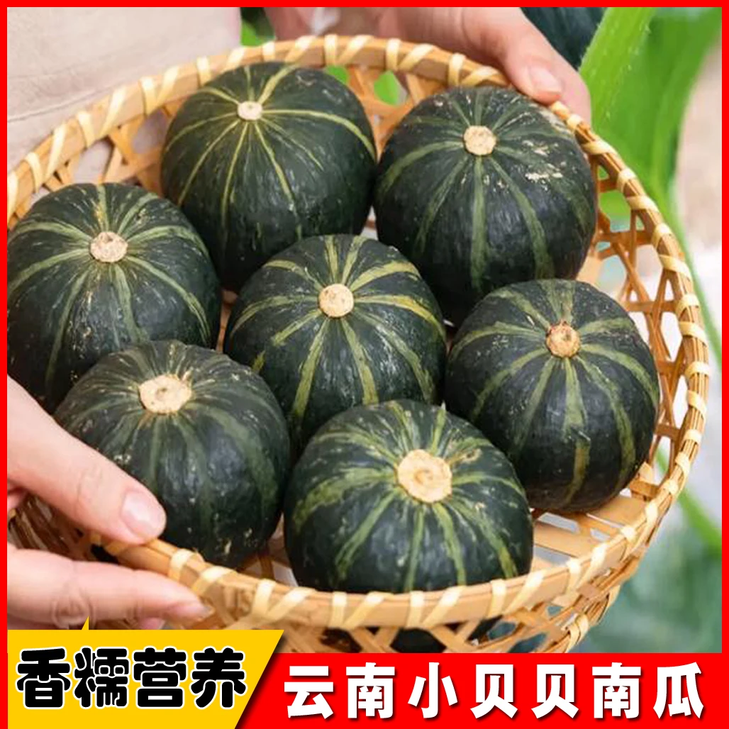 云南小贝贝南瓜新鲜蔬菜香糯