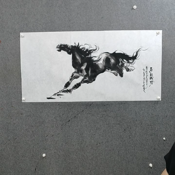 国画用****0水墨写意马图单骏