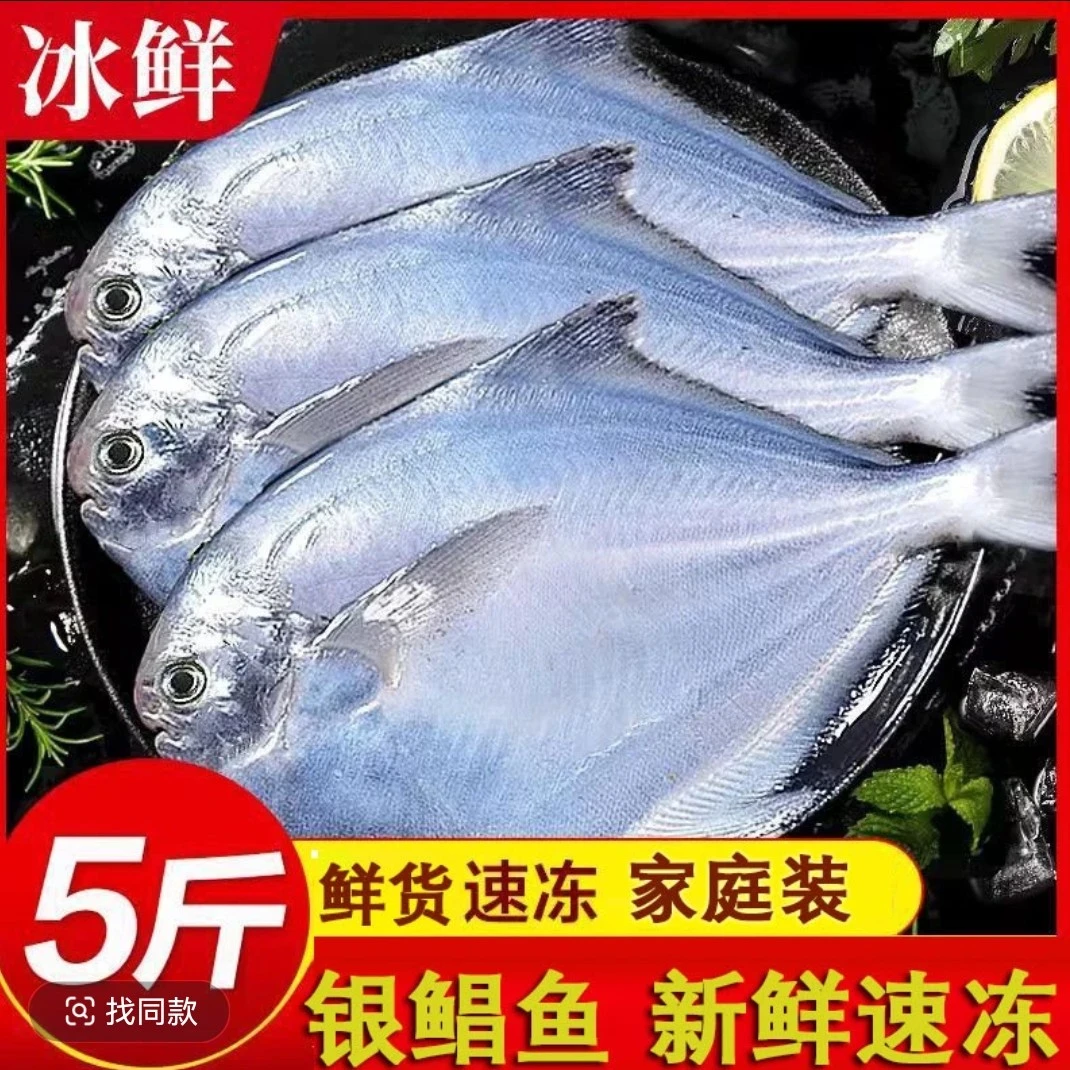 【顺丰】5斤大银鲳鱼海捕鲜活银鲳鱼新鲜速冻深海捕捞鲳鱼新鲜