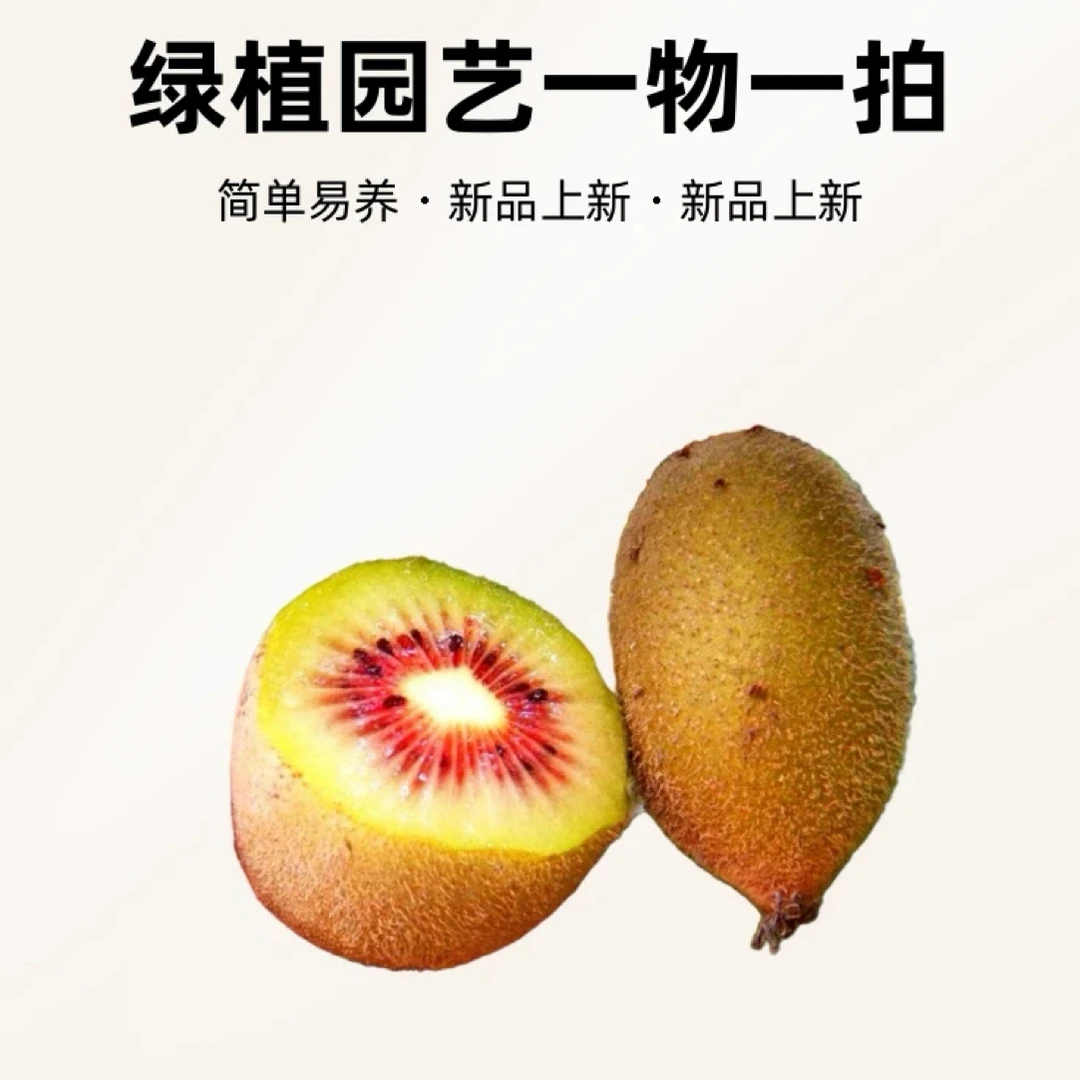花卉绿植 南北方种植