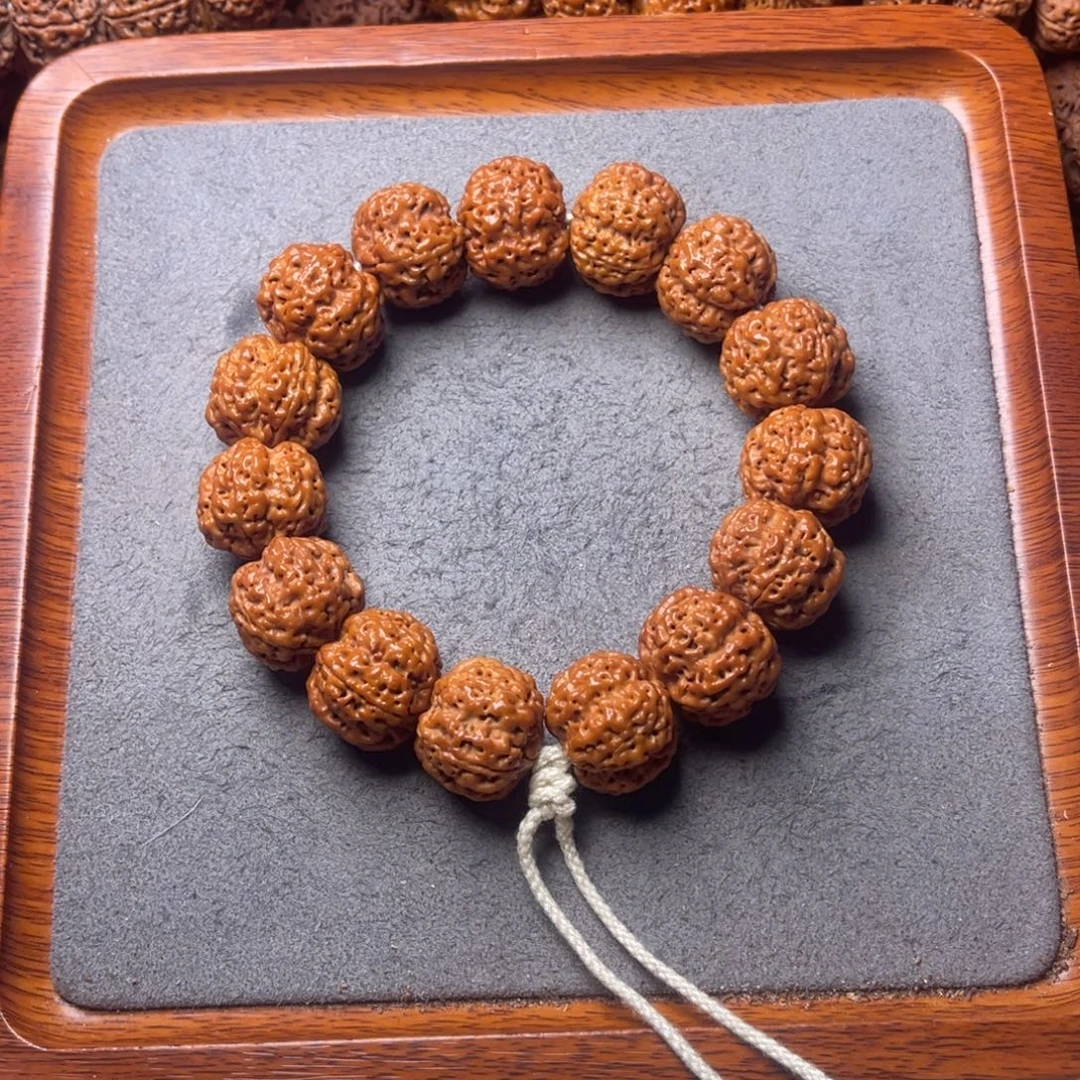 菩提24号金刚菩提深沟满肉21