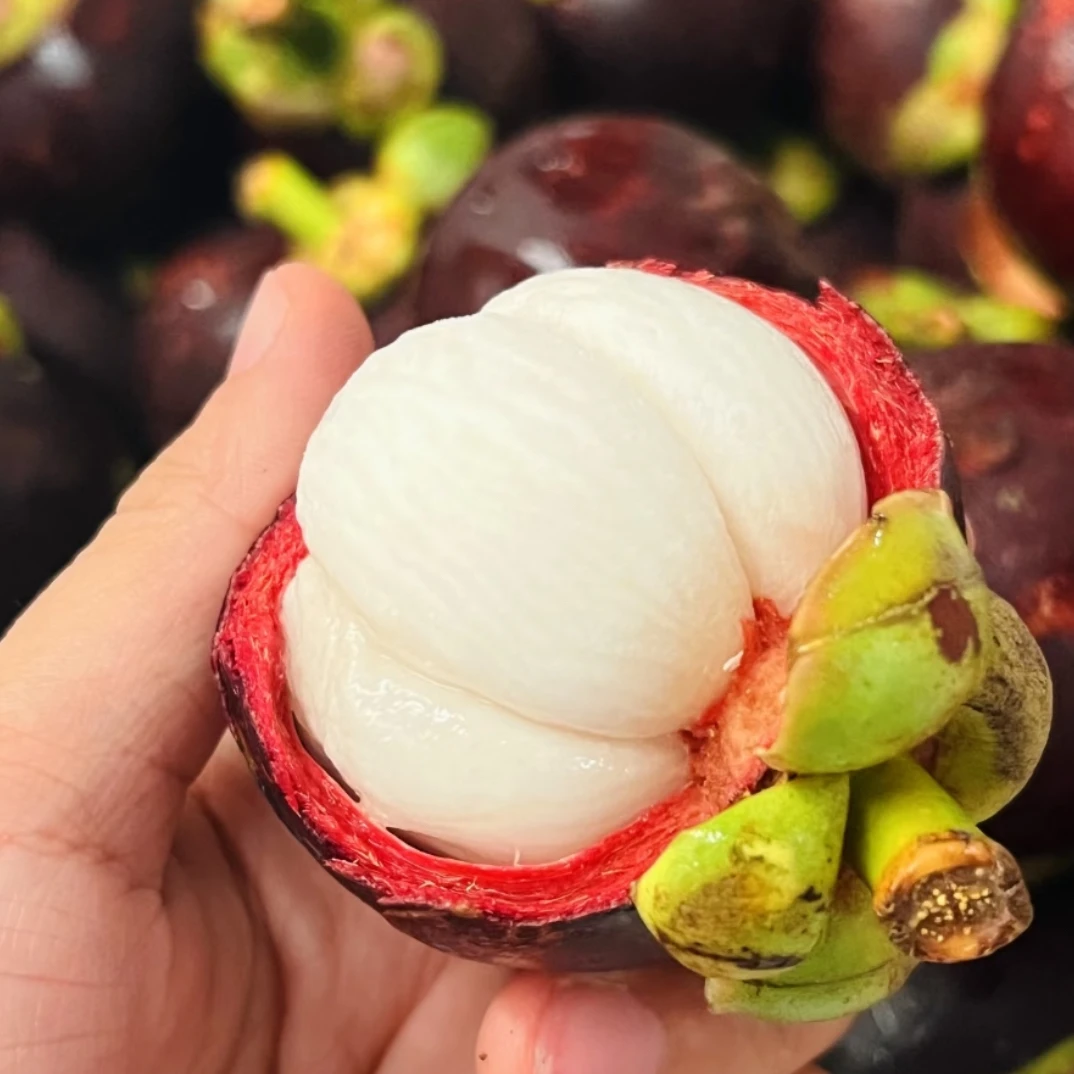 水果皇后新鲜山竹泰国进口饱满多汁高端香甜当季热带水果现摘整箱包邮坏果包赔