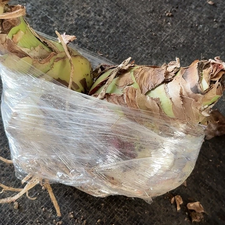 啊**喔甜蜜双胞胎包对版1305