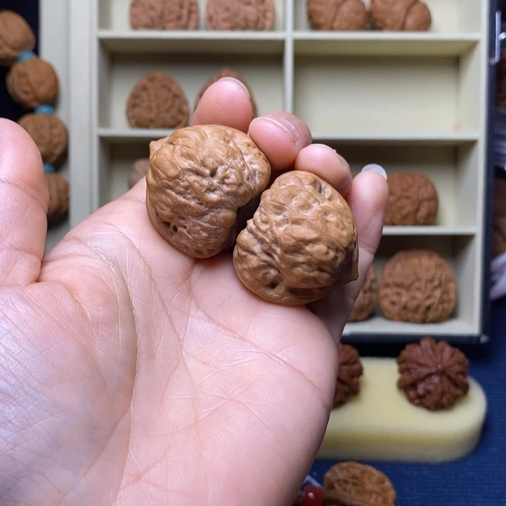 核桃34全品古蟾 12号车