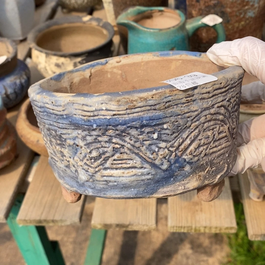 红陶往**烟39号多肉盆一个呀