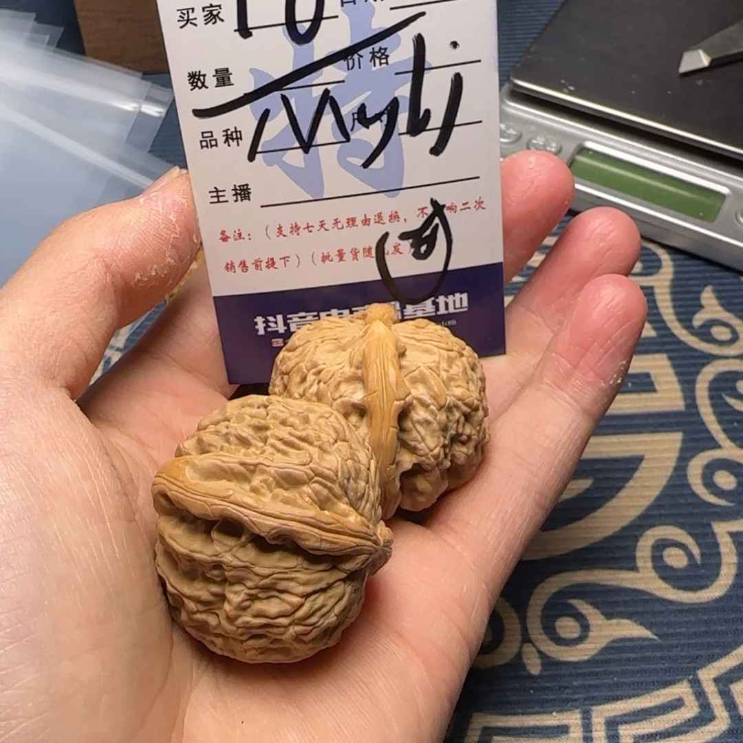 M***j白狮子的故事是一个人