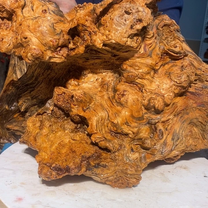 人**半我们都是你的粉丝124