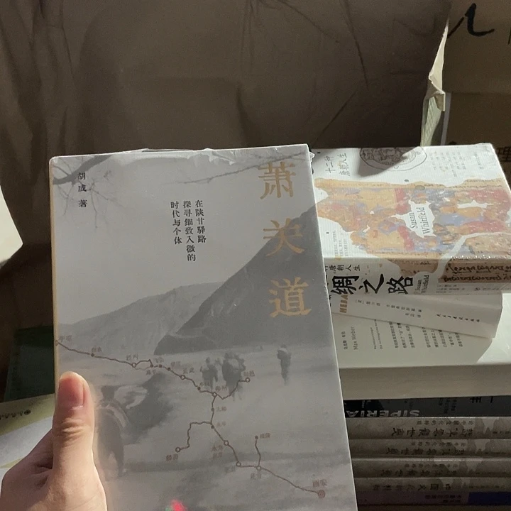 萧关道：微瑕微瑕微瑕