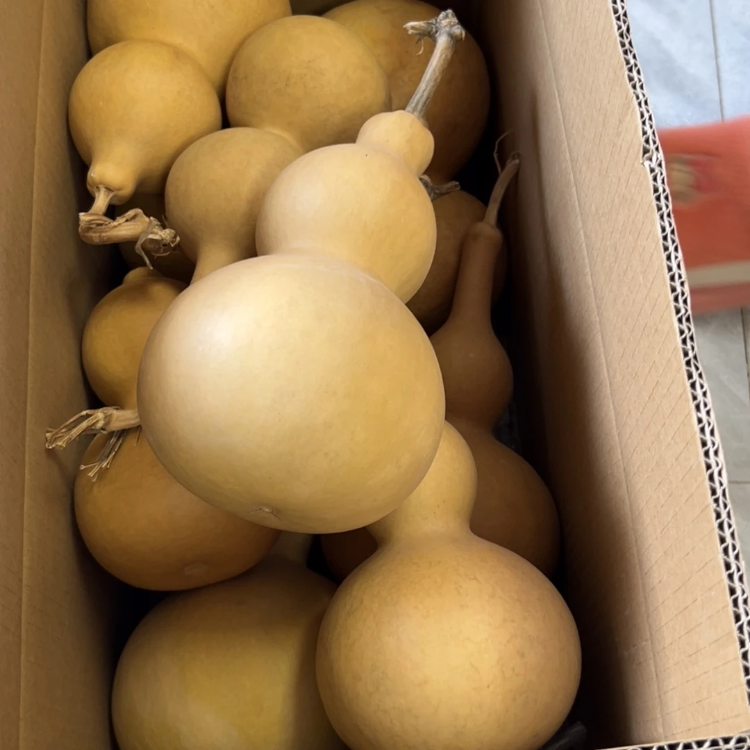 觉***醒有机玻璃葫芦葫芦葫芦