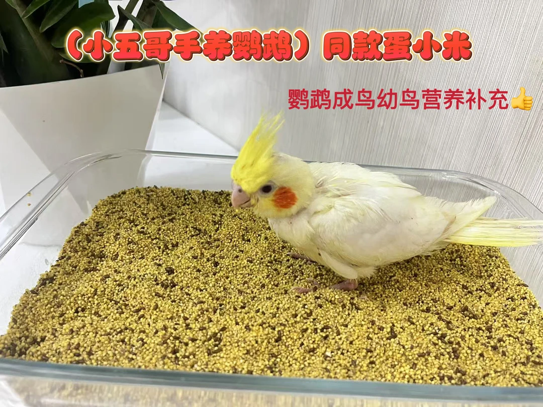 主播同款营养蛋小米500克