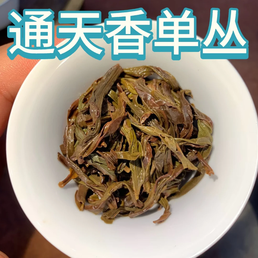 雪片黄枝通天香 高香 香气馥郁 自喝款 性价比高