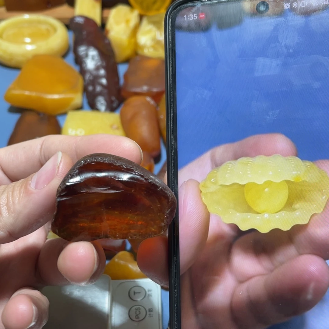 定制蜜蜡未镶嵌立体贝 壳带珍 珠