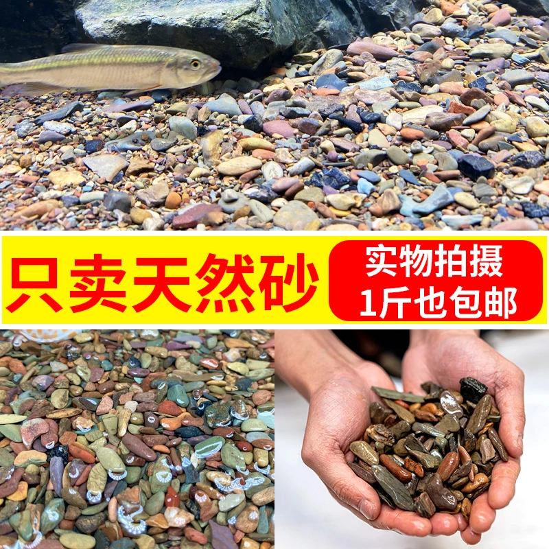 原生鱼龟缸沙子溪流沙鱼缸底砂造景水族箱装饰雷龙鱼草缸天然石头