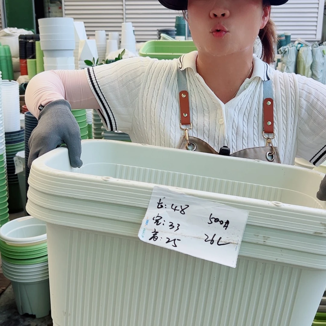 菜盆500#米白色3个无托